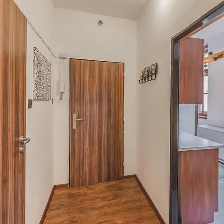 Daviduv Apartman V Centru Mesta