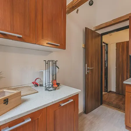 Daviduv Apartman V Centru Mesta דירה Hradec Králové